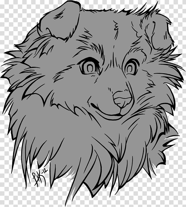 Floofy Free Dog Base age, Pomeranian head illustration transparent background PNG clipart