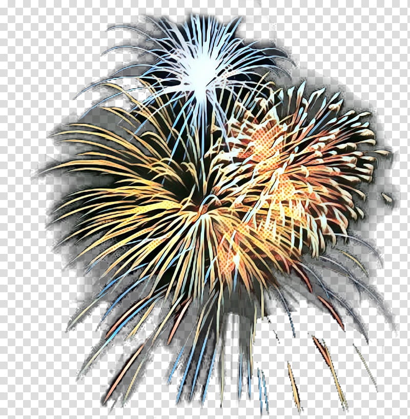 New Years Eve Party, Fireworks, Independence Day, Firecracker, Festival, Rocket, Guy Fawkes Night, Event transparent background PNG clipart