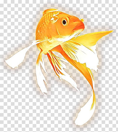 Fish, Cartoon, Goldfish, Beak, Koi, Bonyfish, Feeder Fish transparent background PNG clipart
