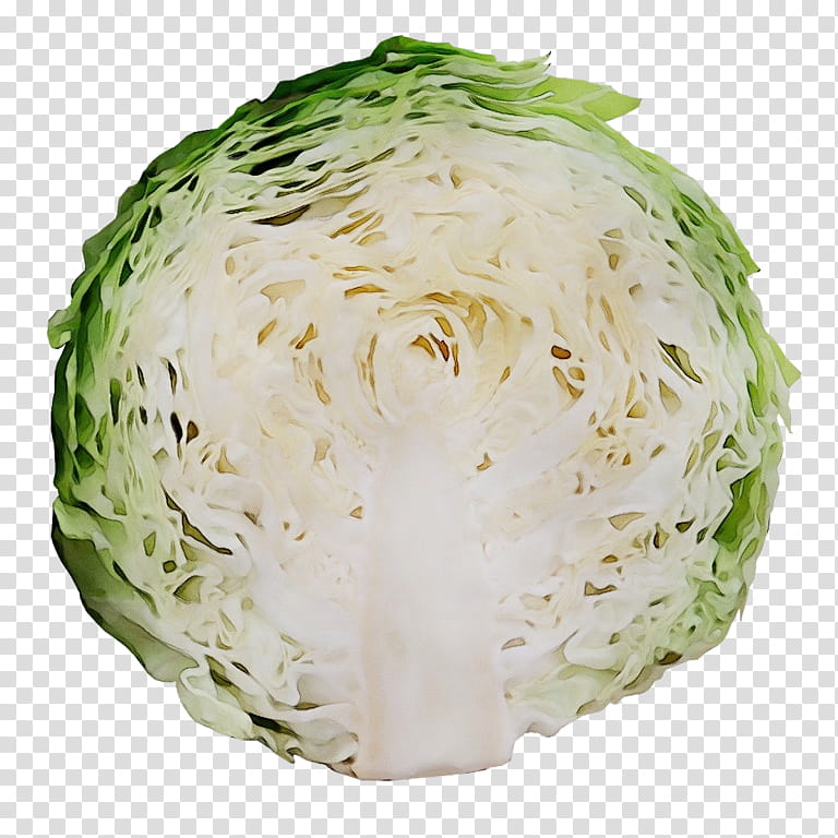 cabbage iceburg lettuce food wild cabbage vegetable, Watercolor, Paint, Wet Ink, Chinese Cabbage, Sauerkraut, Celeriac, Leaf Vegetable transparent background PNG clipart