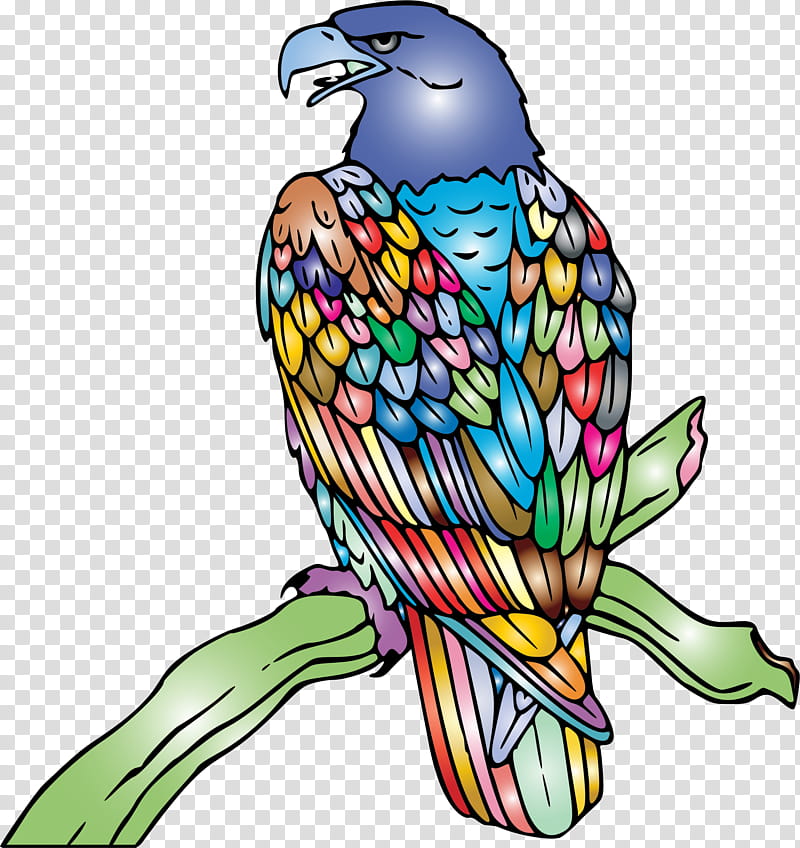 Bird Line Drawing, Bald Eagle, Line Art, Golden Eagle, Visual Arts, Macaw, Blackandwhite Hawkeagle, Falcon transparent background PNG clipart