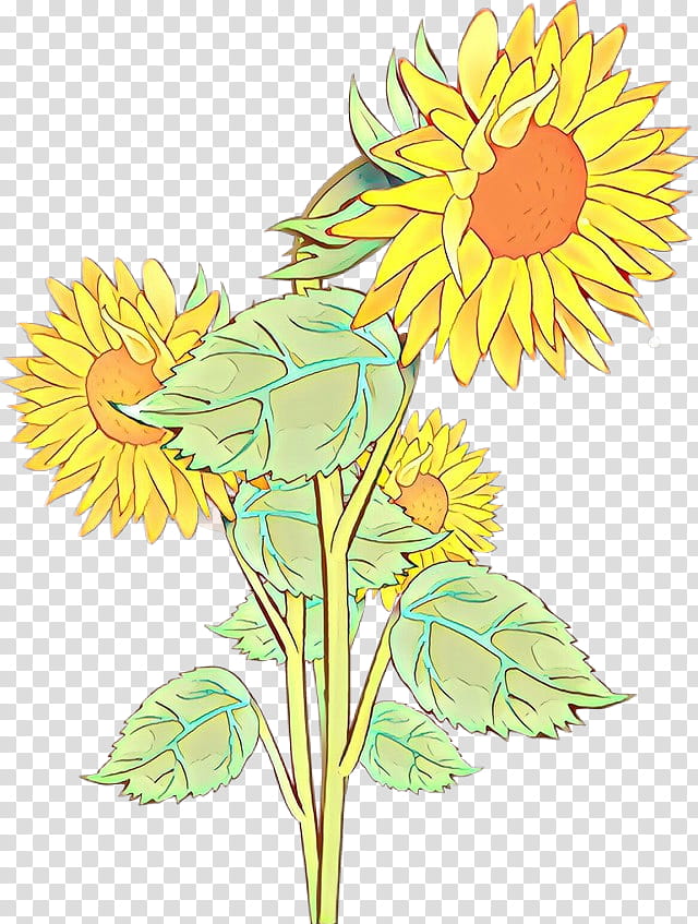 Sunflower, Cartoon, Flowering Plant, Yellow, Dandelion, Cut Flowers transparent background PNG clipart