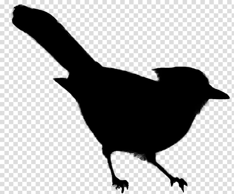 Bird Silhouette, Beak, Landfowl, Perching Bird, Crowlike Bird, Wren, Wing transparent background PNG clipart