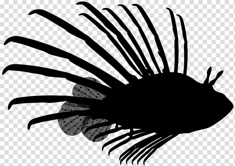 Fisherman Silhouette Fishing PNG, Clipart, Angle, Bass Fishing, Black,  Black And White, Blog Free PNG Download