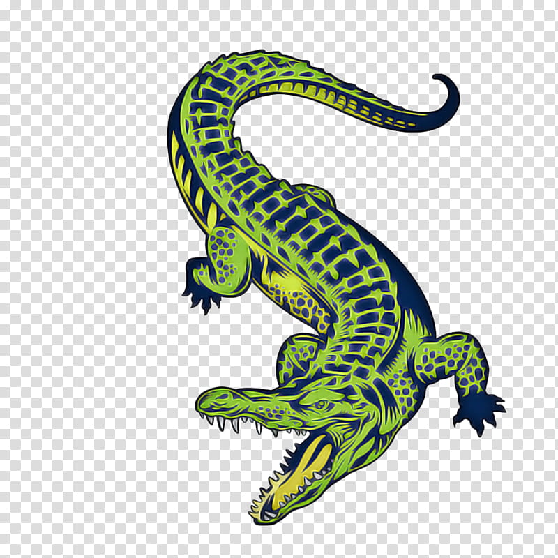 Animal, Lizard, Reptile, Amphibians, Animal Figure, Scaled Reptile, Gecko, True Salamanders And Newts transparent background PNG clipart