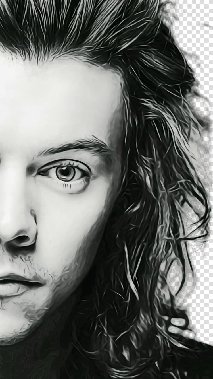 Harry styles By.Me, 2020, drawing with PrismaColor Pencils : r/drawing
