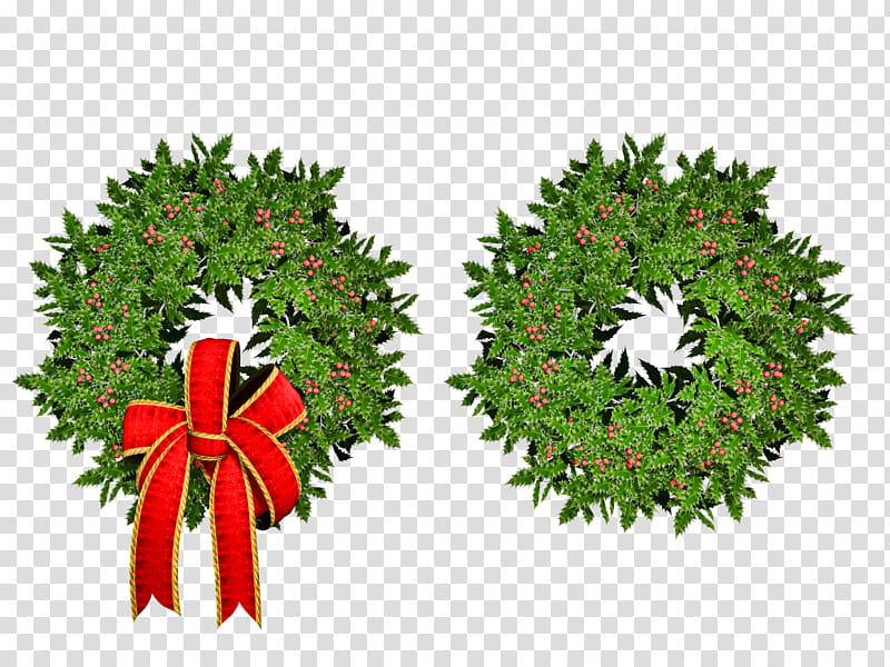 Christmas Holly , of two green wretch transparent background PNG clipart