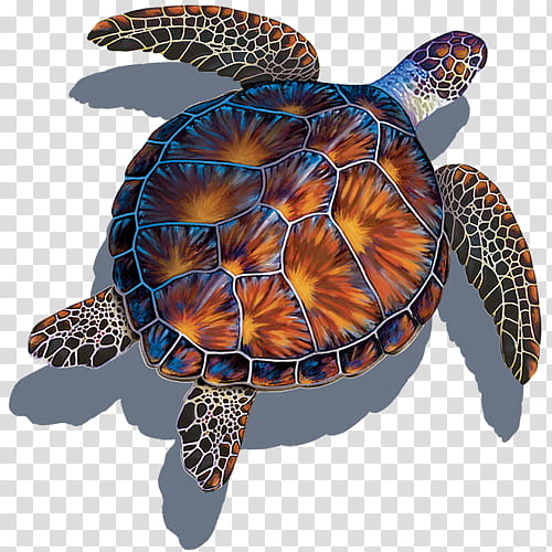 Sea Turtle, Mosaic, Tile, Swimming Pools, Porcelain Tile, Ceramic, Green Sea Turtle, Backyard transparent background PNG clipart
