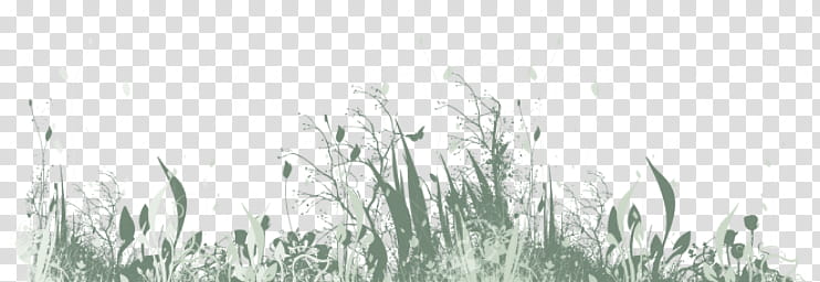Softer Dreams css design, grass painting transparent background PNG clipart