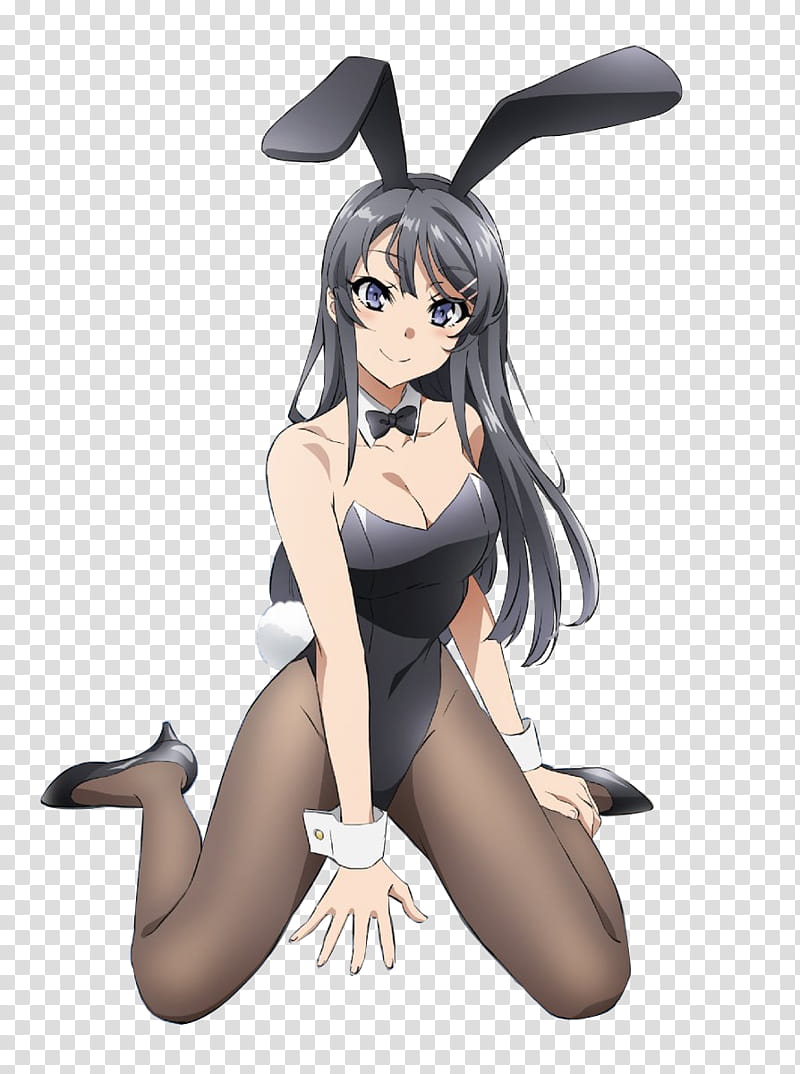 Render Mai Sakurajima, female anime character transparent background PNG clipart