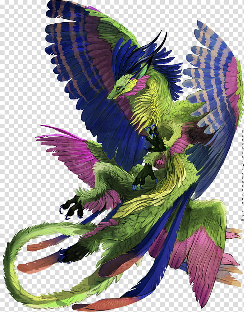 Feather Wing, Purple, Beak, Plant, Parrot transparent background PNG clipart
