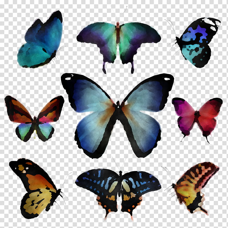 moths and butterflies butterfly insect pollinator apatura, Brushfooted Butterfly, Lycaenid, Symmetry, Apatura Iris transparent background PNG clipart
