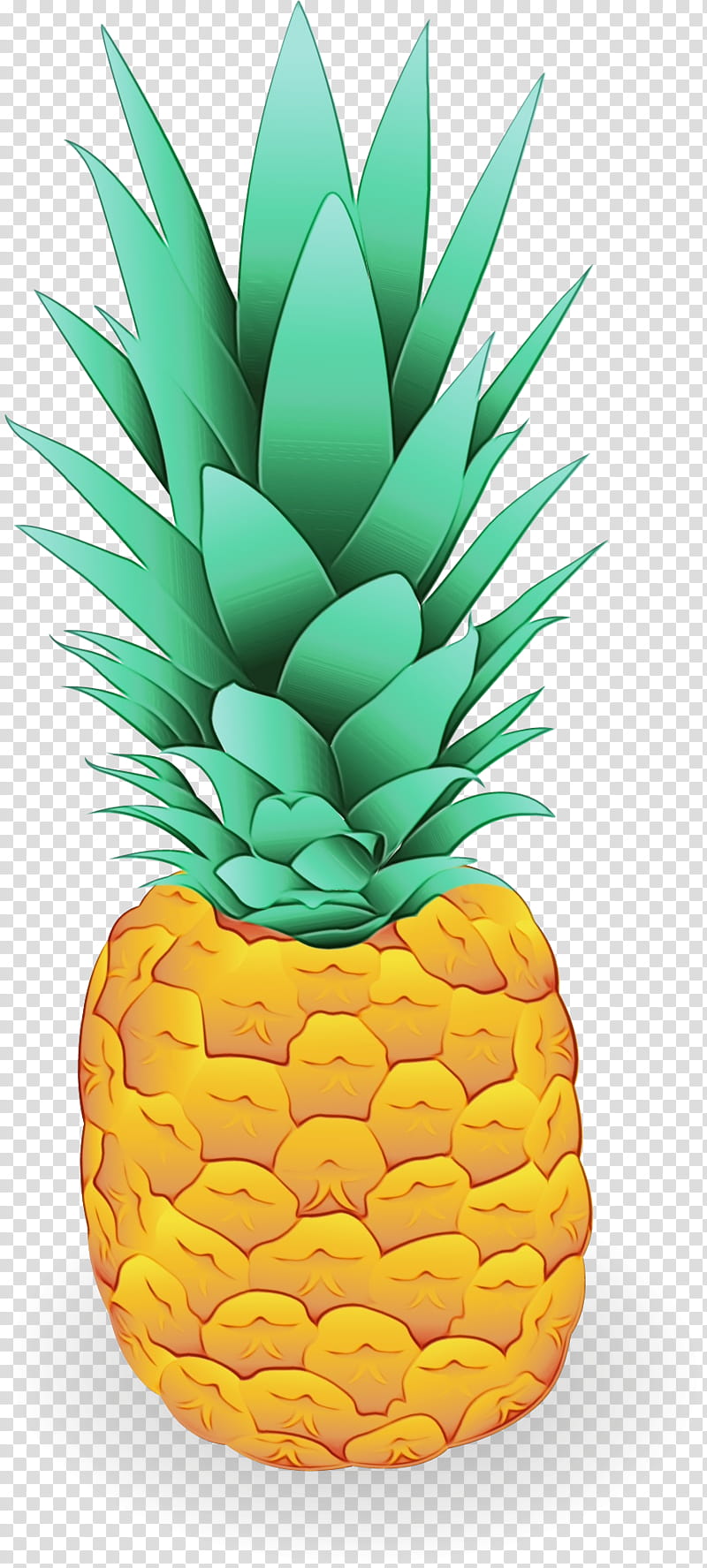 Pineapple Watercolor Paint Wet Ink Ananas Fruit Plant Food Transparent Background Png