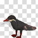 Spore creature Inca Tern, black and gray bird illustration transparent background PNG clipart