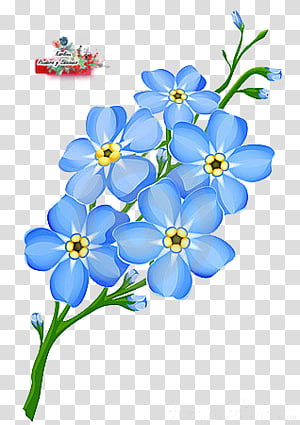 clip art de flor azul claro