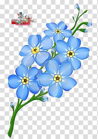 Flor azul transparent background PNG clipart