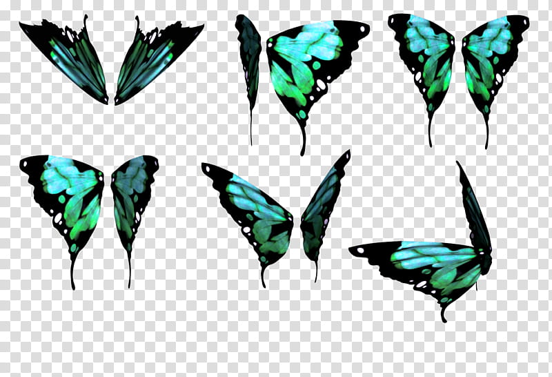 Daz Butterfly Wings , green-and-black butterflies transparent background PNG clipart