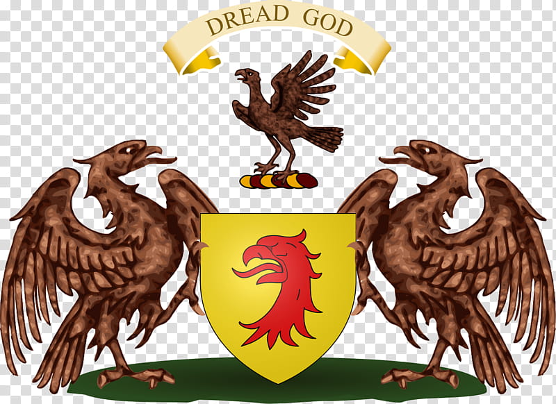 Cartoon Castle, Clan Munro, Coat Of Arms, Scottish Clan, Scotland, Bird, Bird Of Prey, Eagle transparent background PNG clipart