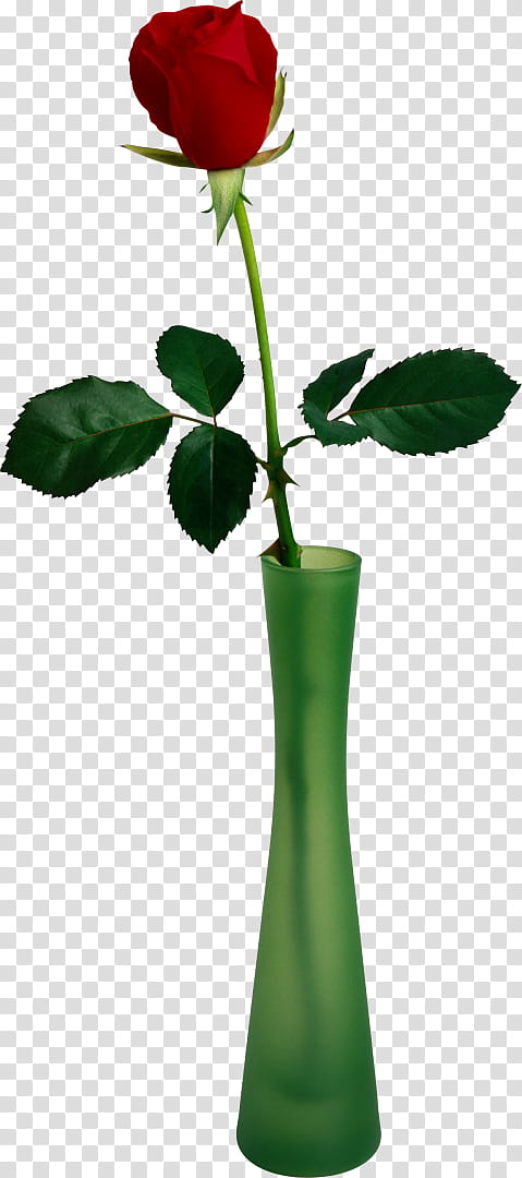 Flower In Vase, Rose, Garden Roses, Flowers In Vase, Vase Ard Time, Leaf, Plant, Green transparent background PNG clipart