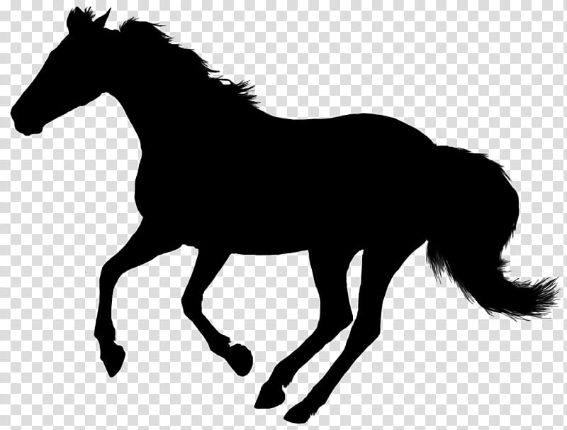 Horse, Silhouette, Drawing, Mane, Black, Animal Figure, Mare, Stallion transparent background PNG clipart