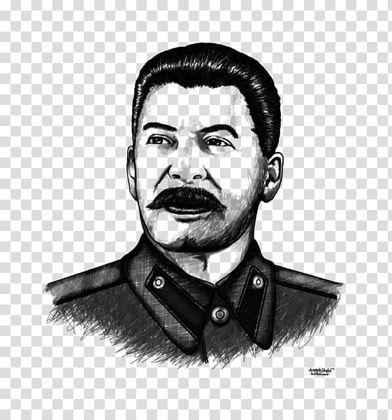 Moustache, Joseph Stalin, Soviet Union, Russian Empire, Early Life Of Joseph Stalin, Stalinism, Chin, Forehead transparent background PNG clipart