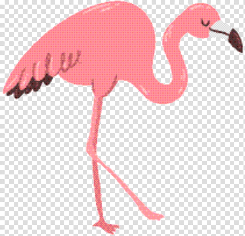 Flamingo Logo, Phoenicopterus, Pink, , Cuteness, Animal, Cartoon, Encapsulated PostScript transparent background PNG clipart