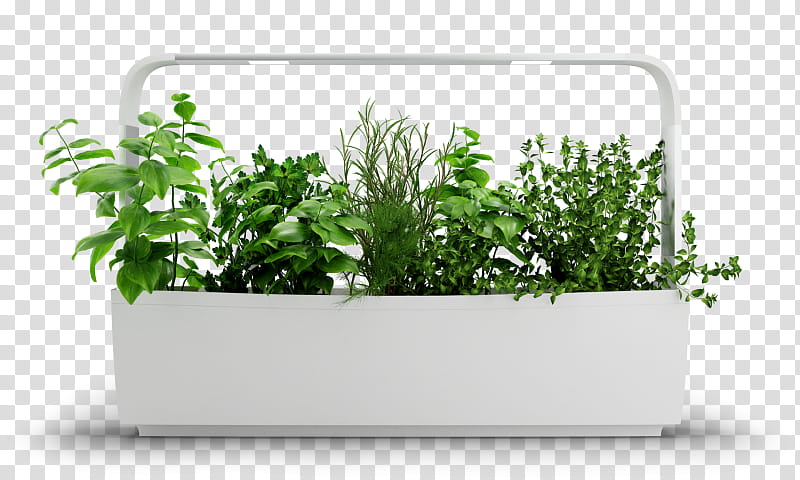 garden plants png