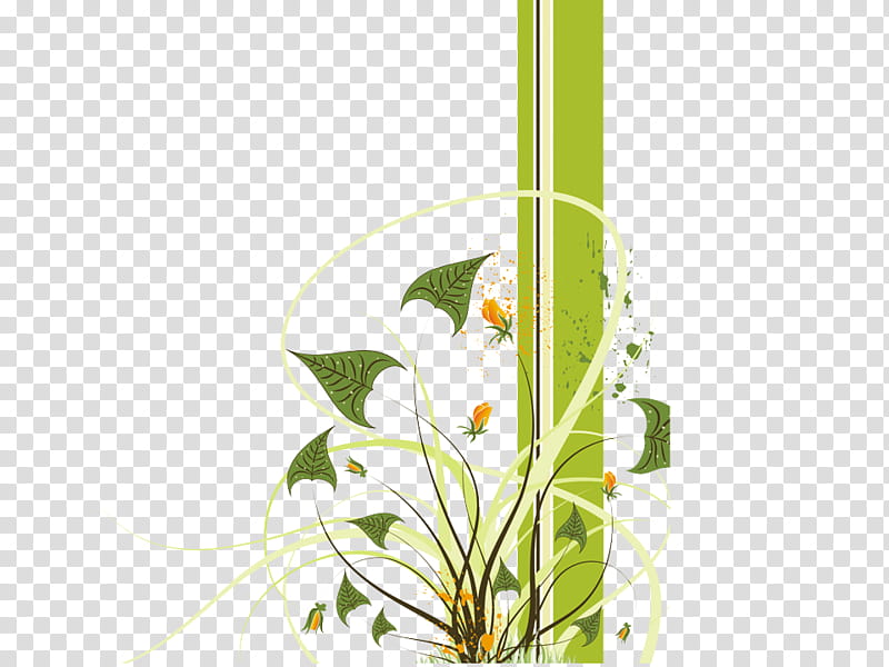 flower plant plant stem anthurium wildflower, Alismatales, Arum Family transparent background PNG clipart