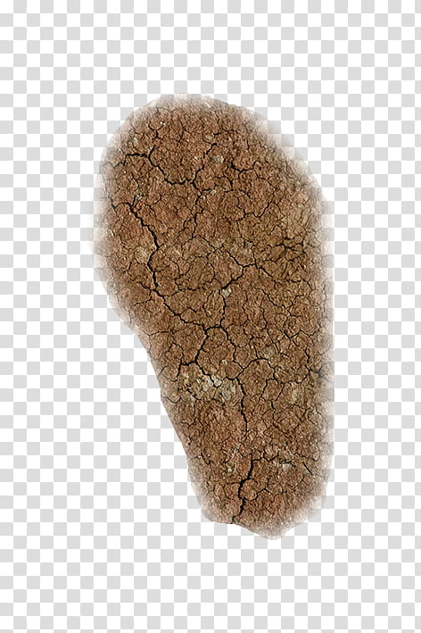 Roblox Corporation Sand Soil Gravel Clay Texture Transparent Background Png Clipart Hiclipart - transparent roblox concrete texture