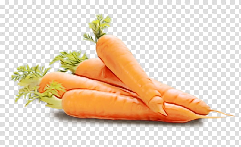food carrot saveloy vegetable cuisine, Watercolor, Paint, Wet Ink, Sausage, Vienna Sausage, Wild Carrot, Bockwurst transparent background PNG clipart
