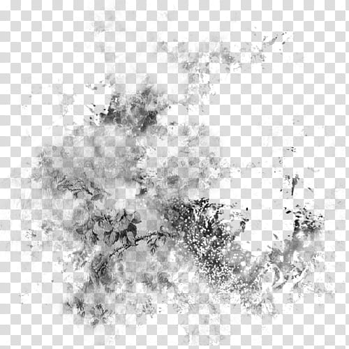 Flowers Brushes, gray smoke transparent background PNG clipart