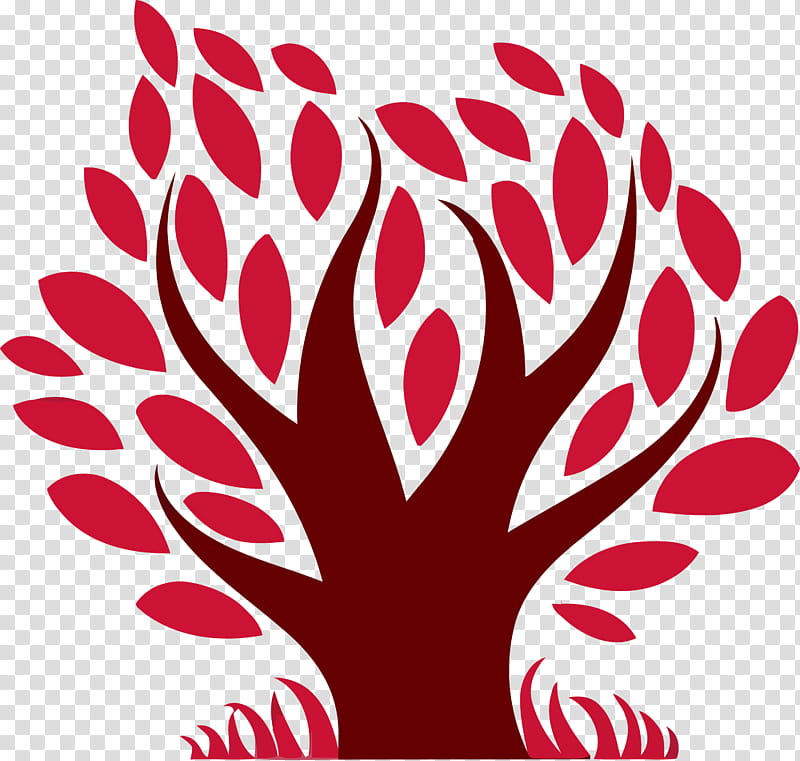 red protea plant flower, Tu Bishvat Tree, Cartoon Tree, Abstract Tree transparent background PNG clipart
