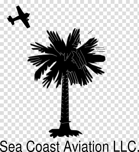 Black And White Flower, South Carolina, Sabal Palm, Palm Trees, Flag Of South Carolina, Crescent, Decal, Moon transparent background PNG clipart