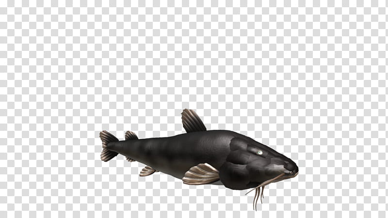 SPORE creature: Piraiba Catfish transparent background PNG clipart