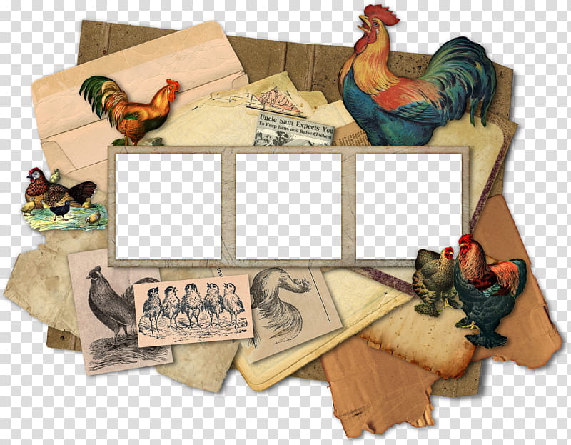 Vintage Rooster And Chicken Frames transparent background PNG clipart