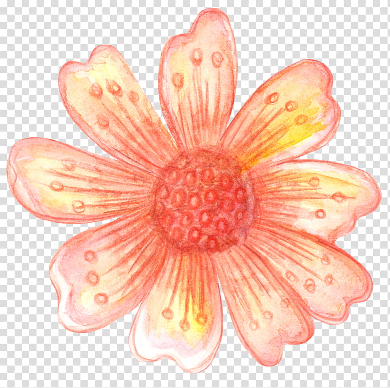 Autumn, Flower, Petal, Transvaal Daisy, Calice, Sunflowers, Russian Ruble, Gerbera transparent background PNG clipart