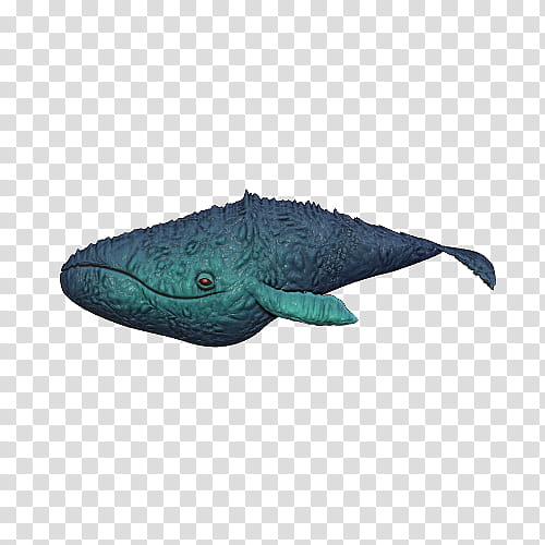 Fishes, gray whale illustration transparent background PNG clipart