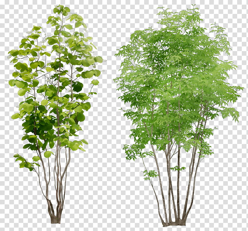 Cutout Tree, 3D Computer Graphics, Symbol, Cutout Animation, Plant, Flower, Leaf, Woody Plant transparent background PNG clipart