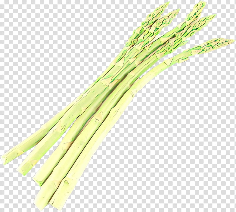 Onion, Cartoon, Welsh Onion, Commodity, Asparagus, Onions, Vegetable, Plant transparent background PNG clipart