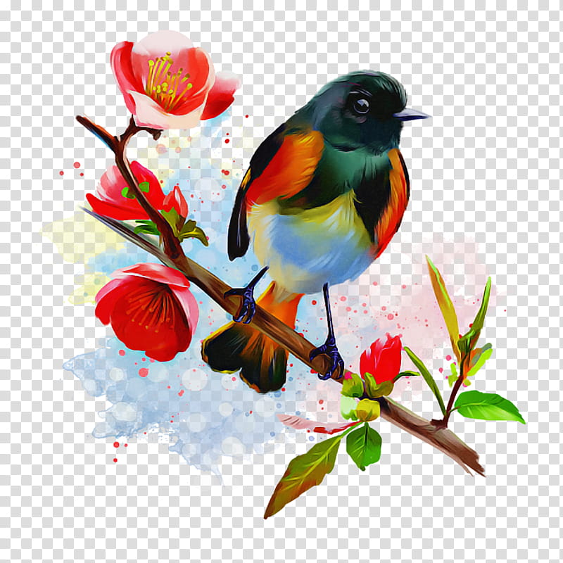 bird watercolor paint branch songbird plant, Perching Bird, Beak, Flower, European Robin, Painted Bunting, Scarlet Tanager transparent background PNG clipart