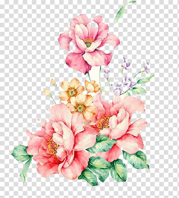 Flower transparent background PNG clipart | HiClipart