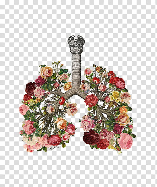 s, gray, red, and orange lungs-shaped flowers illustration transparent background PNG clipart