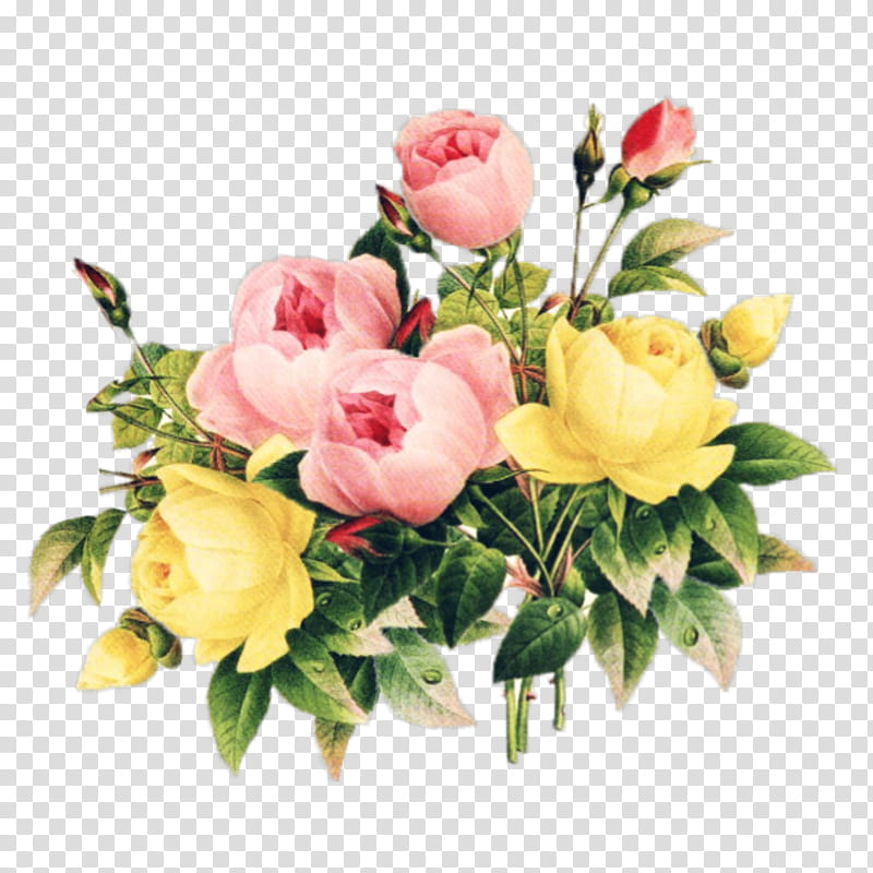 Watercolor Flower, Floral Design, Vintage Clothing, Flower Bouquet, Rose, Retro Style, Cut Flowers, Pink Flowers transparent background PNG clipart