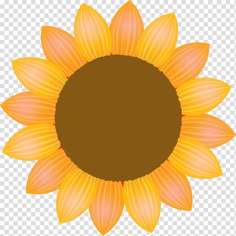 sunflower petal flower, Yellow, Orange, Gazania, Plant, Daisy Family, Gerbera, Asterales transparent background PNG clipart