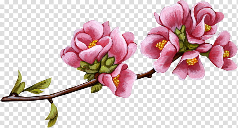 Hibiscus Drawing Flower, PNG, 1772x1772px, Hibiscus, Annual Plant, China  Rose, Drawing, Flower Download Free