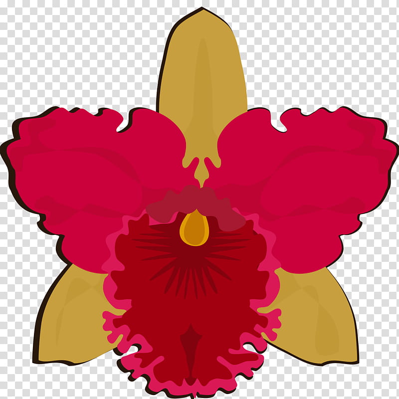 Pink Flower, Moth Orchids, Dendrobium, Cattleya Bicolor, Dancinglady Orchid, Cattleya Walkeriana, Plants, Crimson Cattleya transparent background PNG clipart
