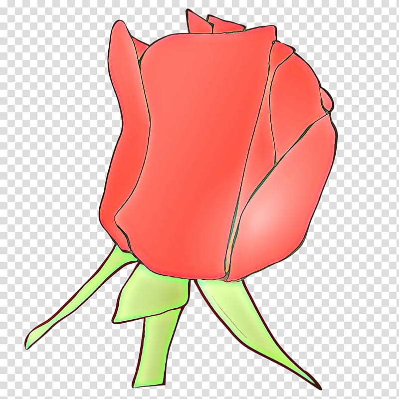 Rose, Cartoon, Red, Flower, Pink, Plant, Rose Family, Tulip transparent background PNG clipart