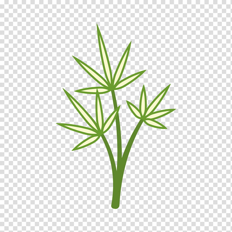 Family Tree, Leaf, Plants, Green, Plant Stem, Color, Plant Taxonomy, Hemp transparent background PNG clipart