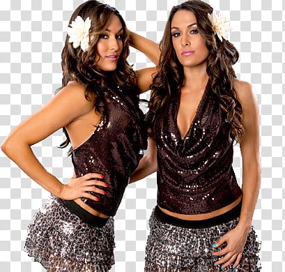 The Bella Twins  , two women in brown scoop neck tank tops and silver mini skirts transparent background PNG clipart