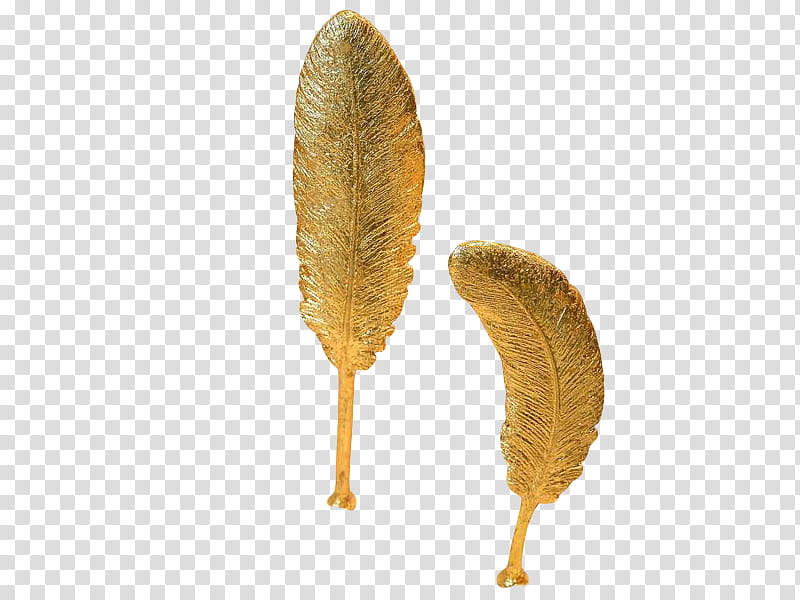 , two gold feather illustrations transparent background PNG clipart